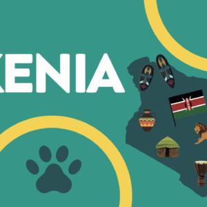 Suite - Kenia
